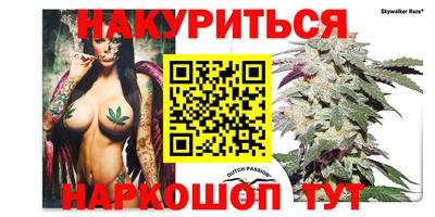 мдпв Гай