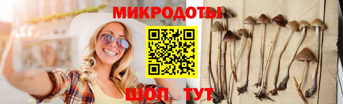 Карталы  магазин    Вход с VPN  Галлюциногенные грибы MAGIC MUSHROOMS 